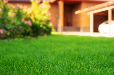 Bank Landscaping