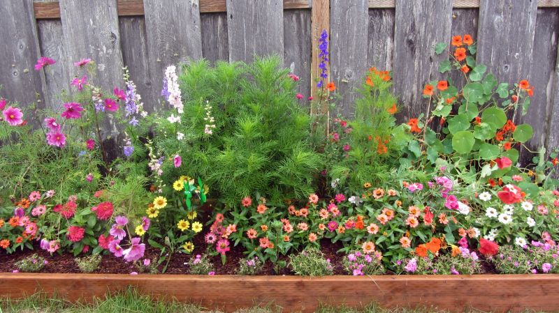 Bush Installation in Ventura County, CA