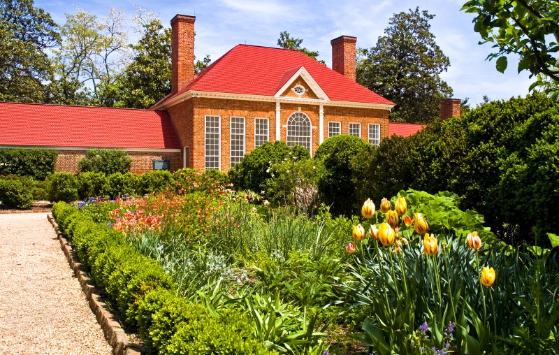 Bush Landscaping in Ventura County, CA