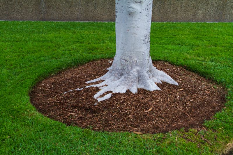 Cedar Mulch Installation in Ventura County, CA