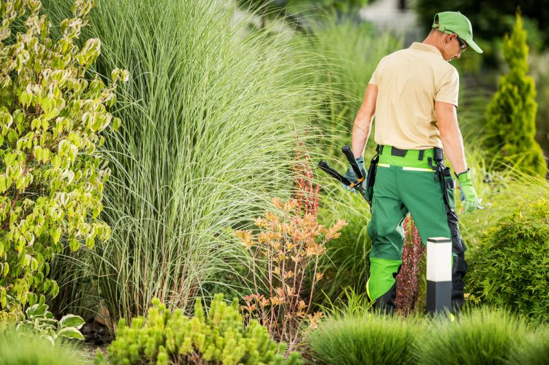 Damaged Yard Repair in Honolulu, HI