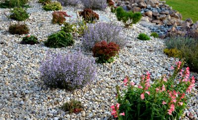 Dryscape Landscaping in Honolulu, HI