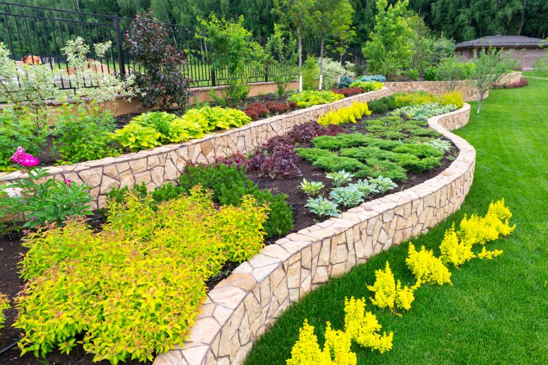 Dryscape Landscaping in Honolulu, HI