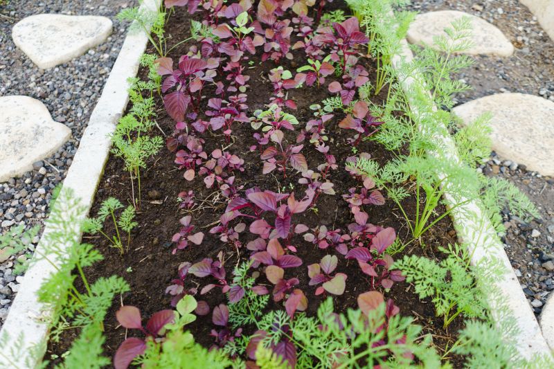 Garden Curbing Service in Honolulu, HI
