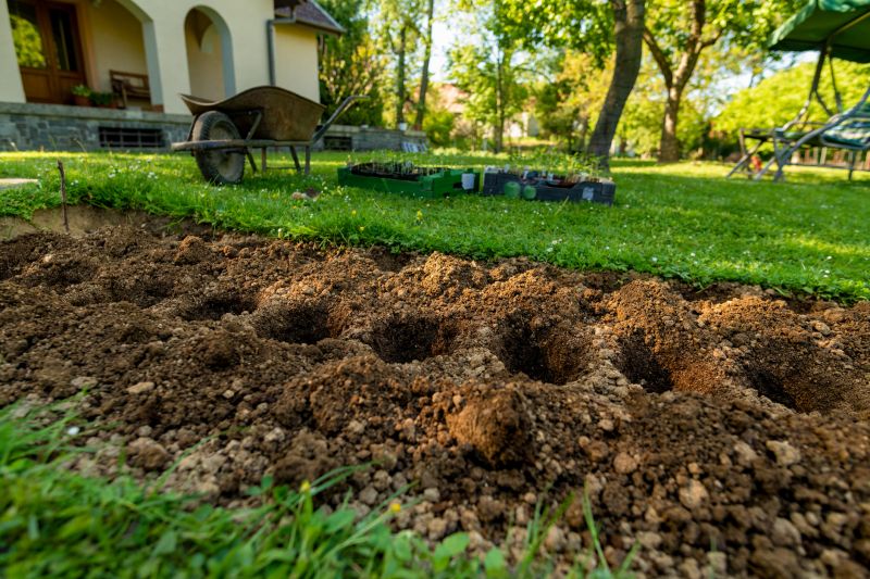 Ground Cover Planting in Ventura County, CA