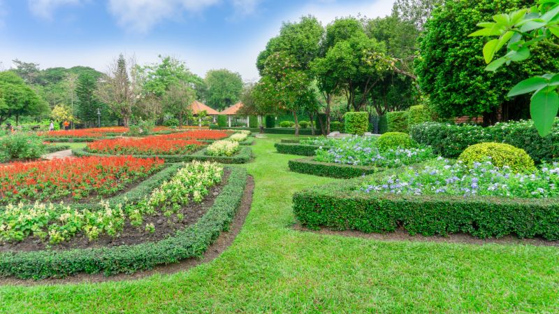 Hedge Landscaping in Honolulu, HI