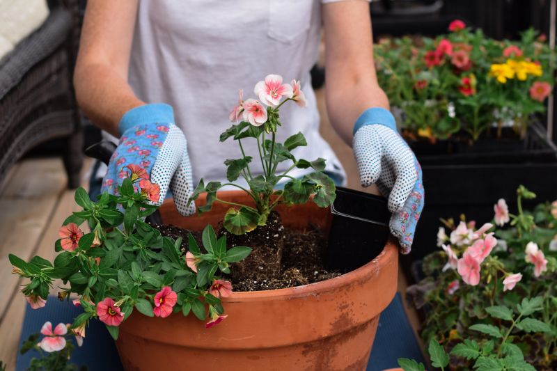 Home Gardening Service in Honolulu, HI