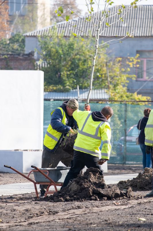 Japanese Maple Planting in Ventura County, CA