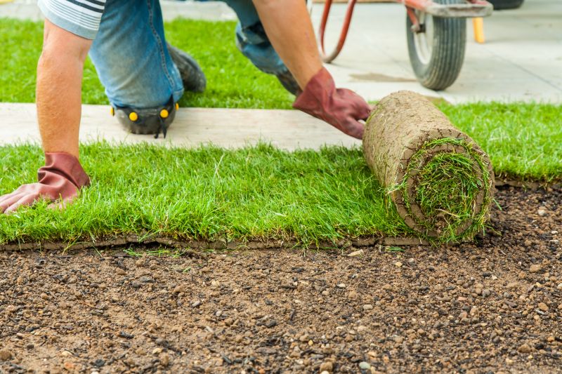 Landscaping Installation in Ventura County, CA
