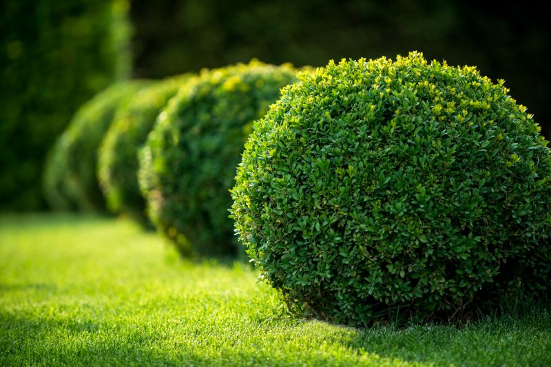 Mulch Installation in Ventura County, CA