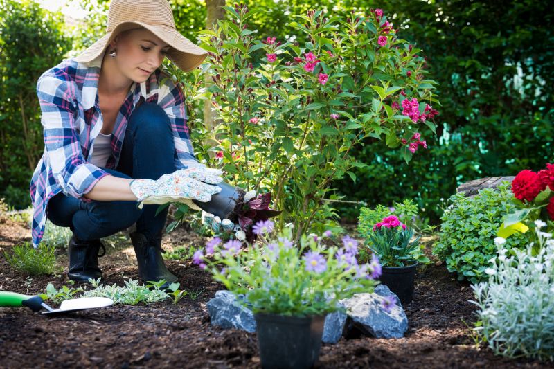 Perennial Landscaping in Ventura County, CA