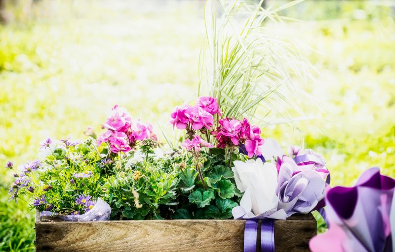 Perennials Planting in Ventura County, CA