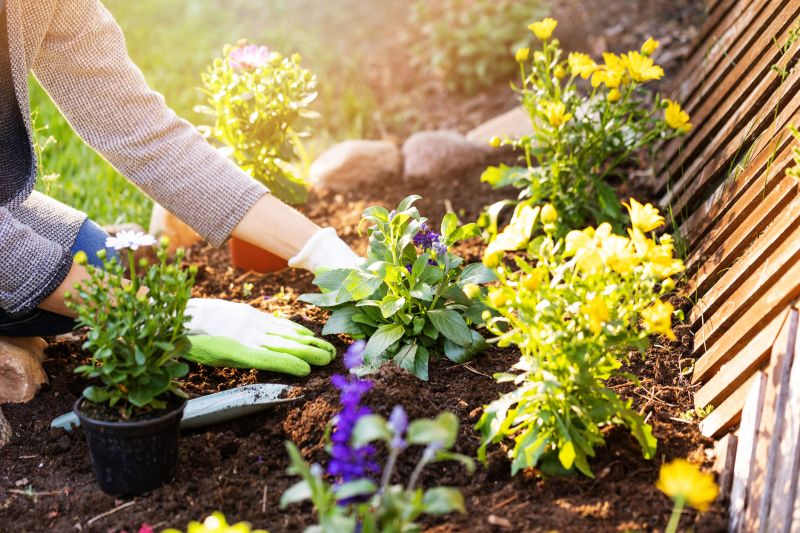 Perennials Planting in Ventura County, CA