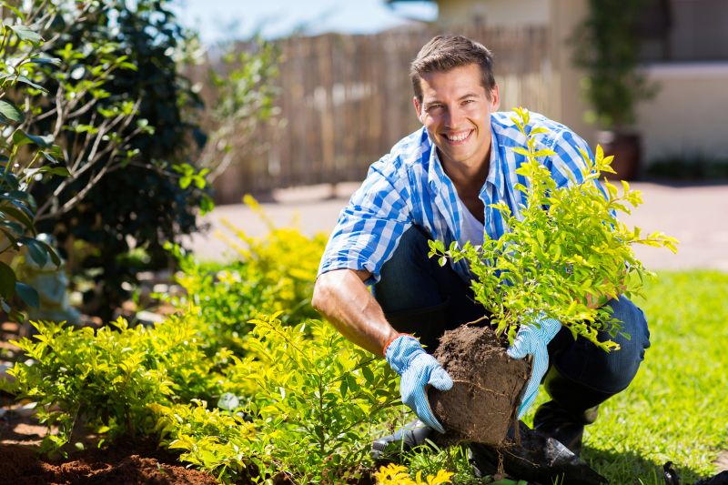 Privacy Hedge Planting in Ventura County, CA