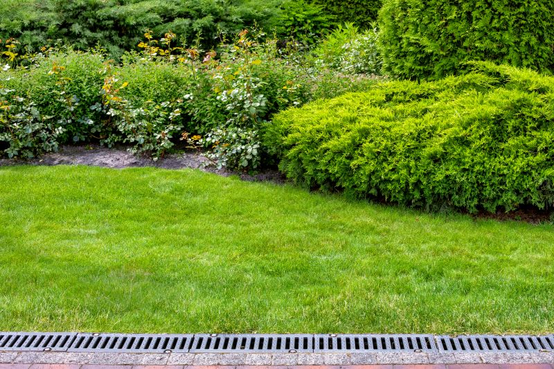 Residential Landscaping in Honolulu, HI