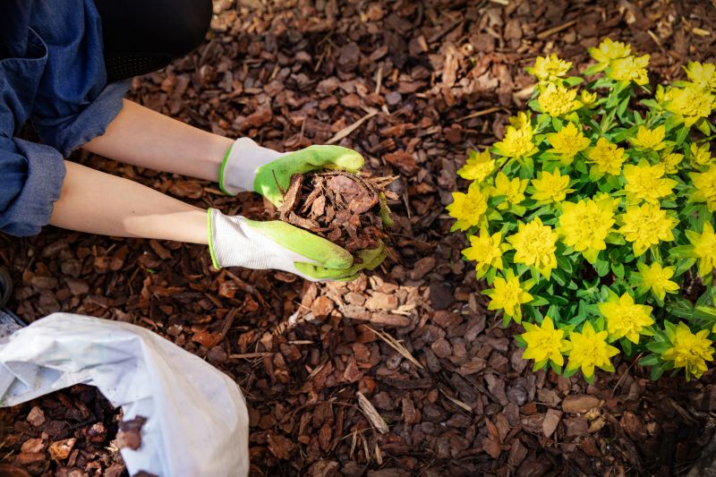 Shredded Mulch Installation in Honolulu, HI