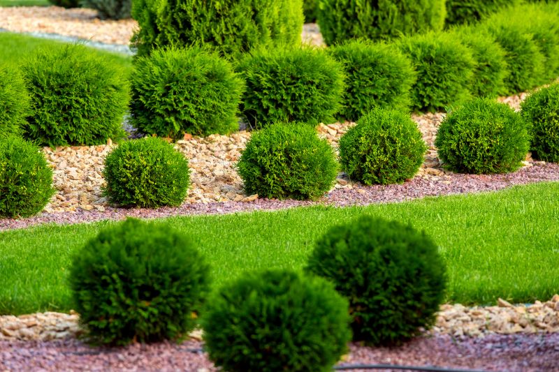 Shrub Landscaping in Honolulu, HI