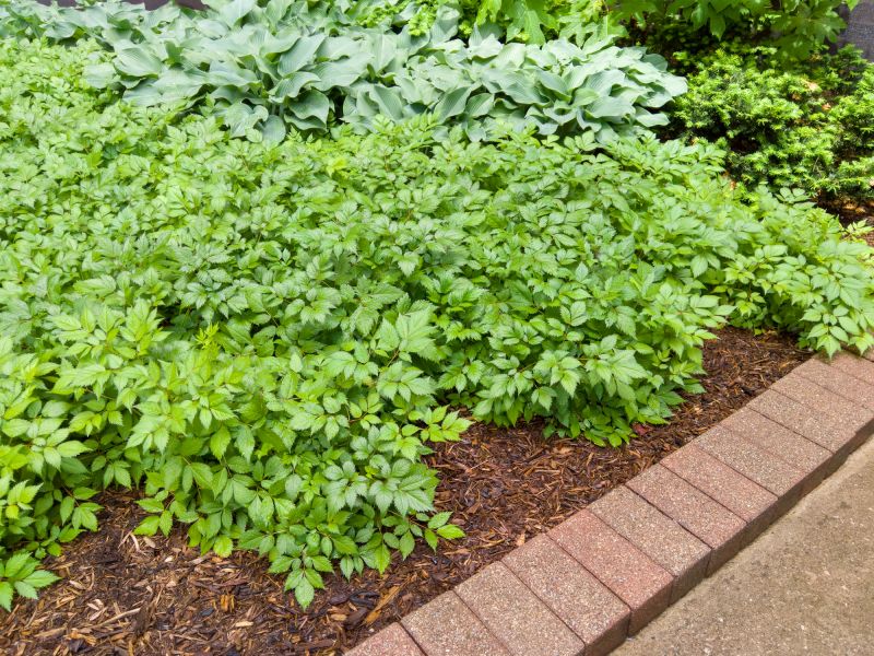 Concrete Edging Replacement in Citrus County, FL