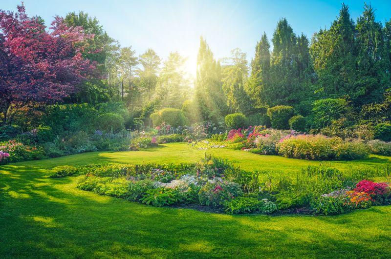 Custom Landscaping in Honolulu, HI