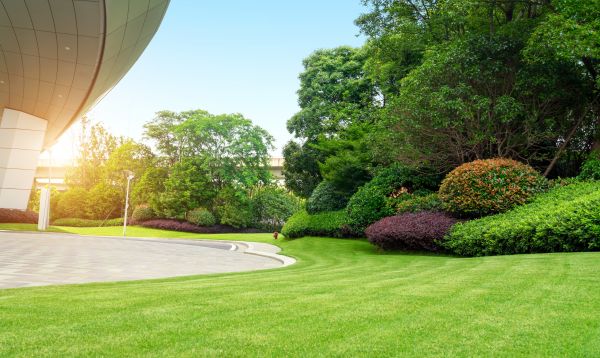 Modern Landscape Design - Modern Landscape Design Fountain Hills, Arizona